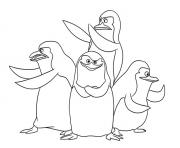 penguin gang 3d08