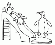 penguin color page 64d5b