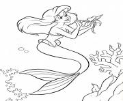 ariel make a bet little mermaid sa97c