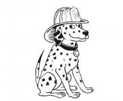 dalmatian fire dog sf2a7