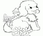 coloring pages of cute dogsfc21