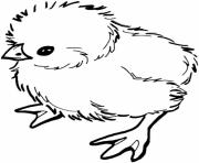 Printable adorable easter s baby chicks16ec coloring pages