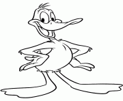 looney tunes daffy duck s8757