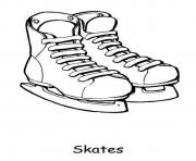 skates for winter sfd90