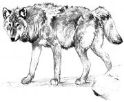 Printable wolf alone coloring pages
