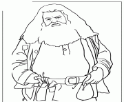 half giant rubeus hagrid from harry potter movie