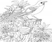 Printable beautiful bird and flower coloring pages