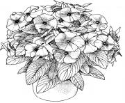 Printable flowers pictures adults coloring pages
