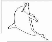 cute cartoon dolphin