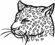 cheetah colouring pages for kidscb40