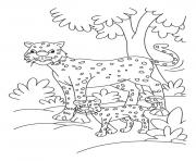 cheetah coloring sheets for kids98df