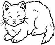 coloring pages for kids cat fat2304