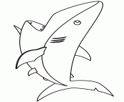 cartoon shark for kids