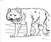 wolves coloring sheets for kids877f
