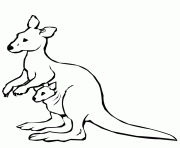coloring pages for kids kangaroo animal25c0