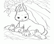 coloring pages for kids rabbit and her babies973e