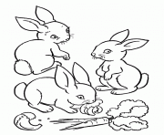 coloring pages for kids rabbit and carrots1598