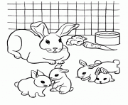 coloring pages for kids rabbit and babiesc19d