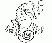 seahorse  for kids08a0