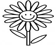 daisy flower s for kids3d11