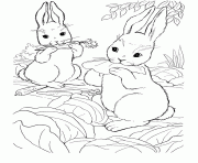 coloring pages for kids rabbit eating carrot3a81