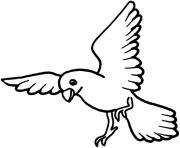 dove bird  for kidsefda