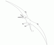 pterodactyl dinosaur 2
