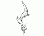 pterodactyl dinosaur 3