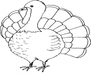 turkey easy thanksgiving s printables9f11