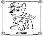 paw patrol chase