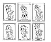 paw patrol dogs rocky marshall zuma rubble skye chase Coloring Pages