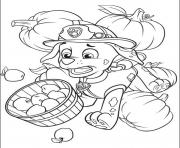 Printable paw patrol 11 coloring pages