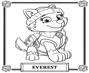 paw patrol everest Coloring Pages