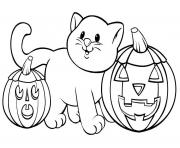 Printable pumpkin cat printable halloween s1b01 coloring pages
