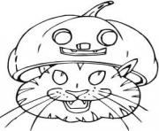 cat with pumpin head 2d89
