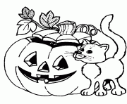 Printable cat and halloween pumpin 2877 coloring pages