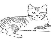 Printable sharp eyed cat kittenc520 coloring pages