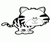 tiger cat kitten