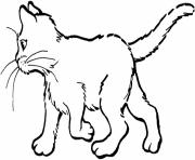 Printable free animal s cat for kids6e9d coloring pages