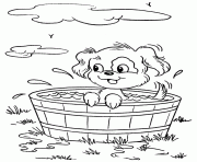 a puppy in a bucket a5d7