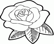rose s for girls flowersff3f