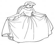The cinderella princess