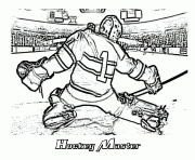 hockey goalie nhl