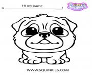 Printable Cute Squinkies dog coloring pages