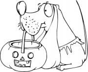 dog holds pumpkin basket halloween