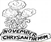 November chrysanthemum