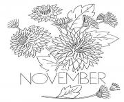 November Chrysanthemum Flower