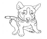 Printable angry looking dog f22a coloring pages