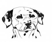 Printable dalmatian dog b6cf coloring pages
