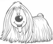 Printable long haired dog  e144938749445347ae coloring pages